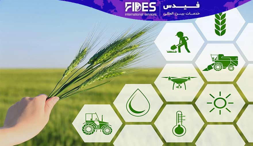 آوسبیلدونگ های کشاورزی و محیط زیست در آلمان؛ گامی به سوی آینده ای سبز