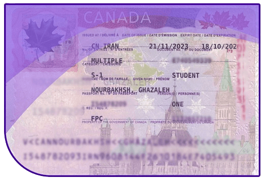 visa 3