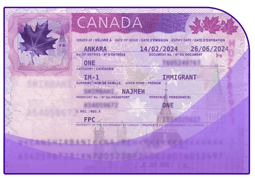 visa 5