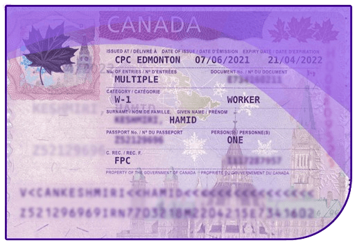 visa 6