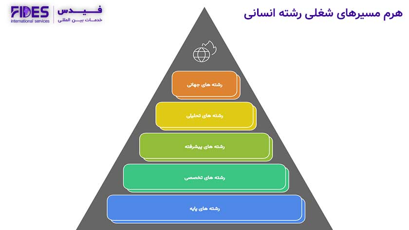 بهترین رشته های علوم انسانی برای مهاجرت